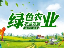 锦州亚星管理平台黑果科技有限公司