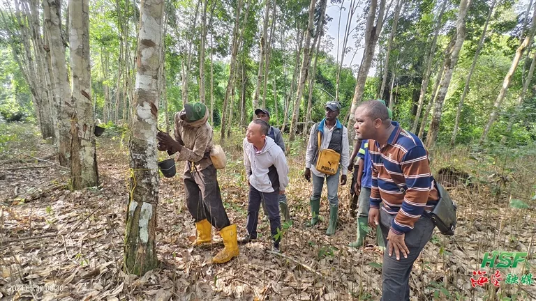 002673c7d73b44b2af976dbe1fbefd4f