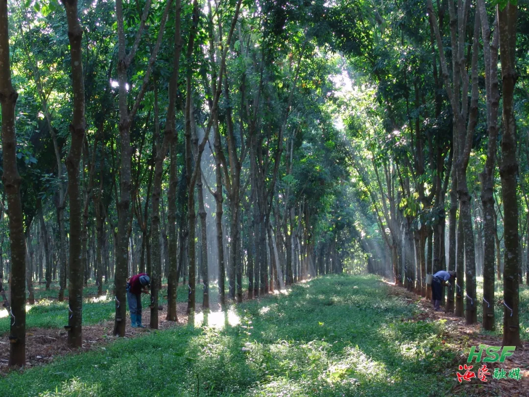 15bc0253536649c6a03528083140f618