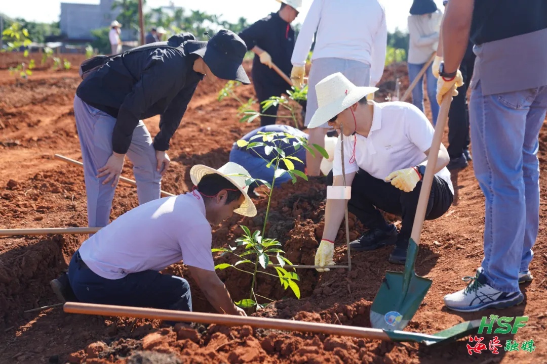 1e93971c873445e39c32f7eb9c6e9945