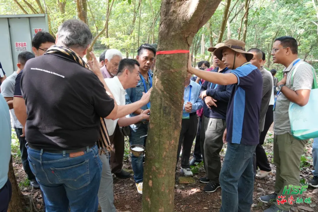 3081f3f4381c498e97b8783eadaac2c0