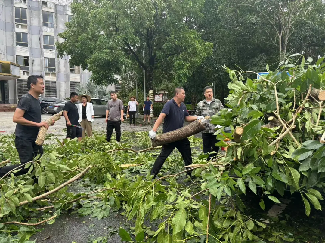 5c47f82bafd54504919619259d82f7ed