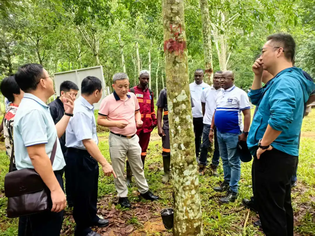 65770446aa2b4c52af94ce7e5f3fe9f8