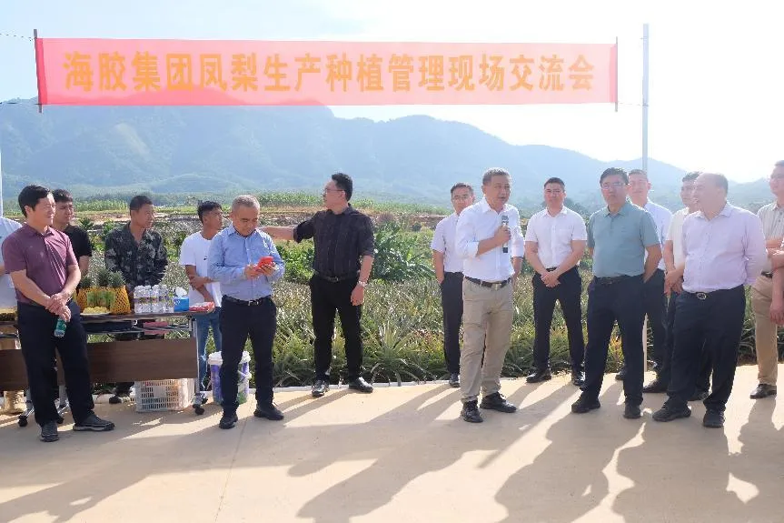 6ea288a430d44e02bcbbf0c6c1481f76