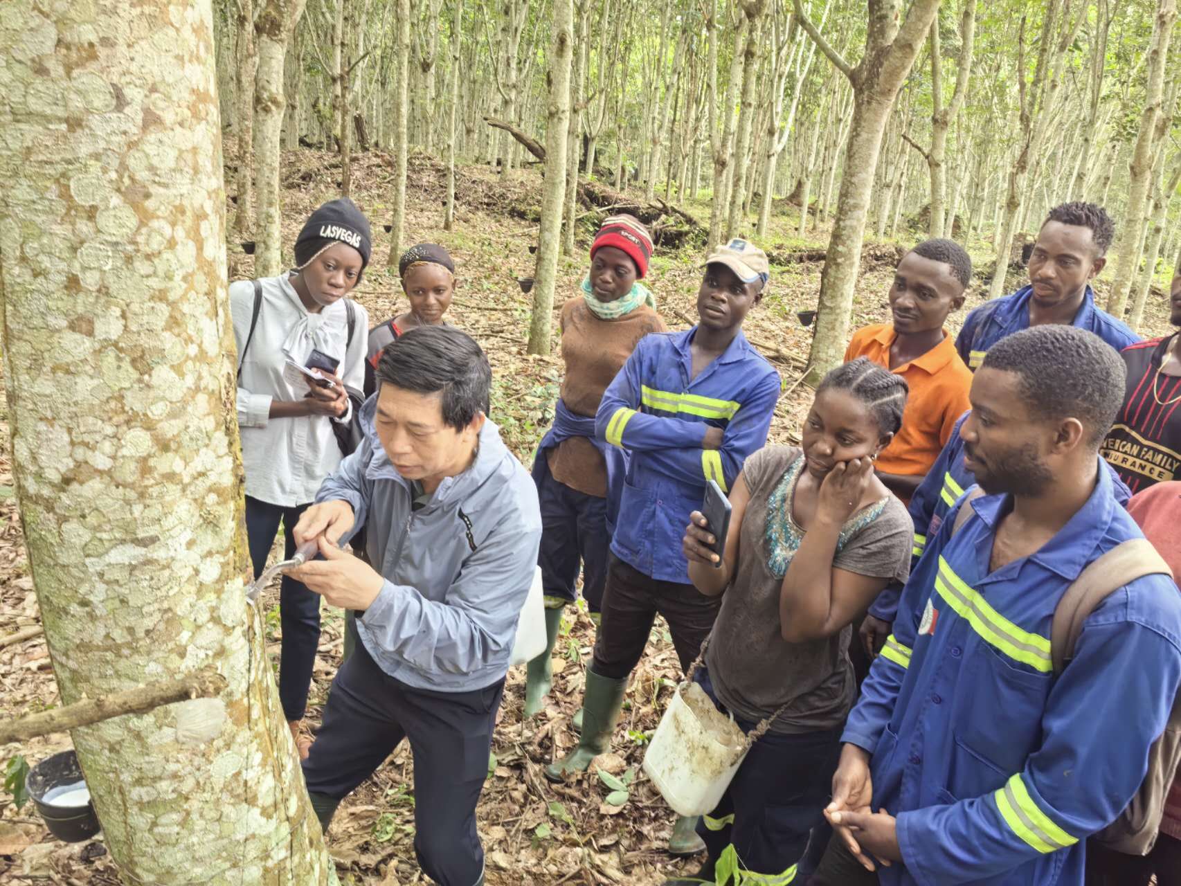 e08267ad11be414f94fd1a51a46de284