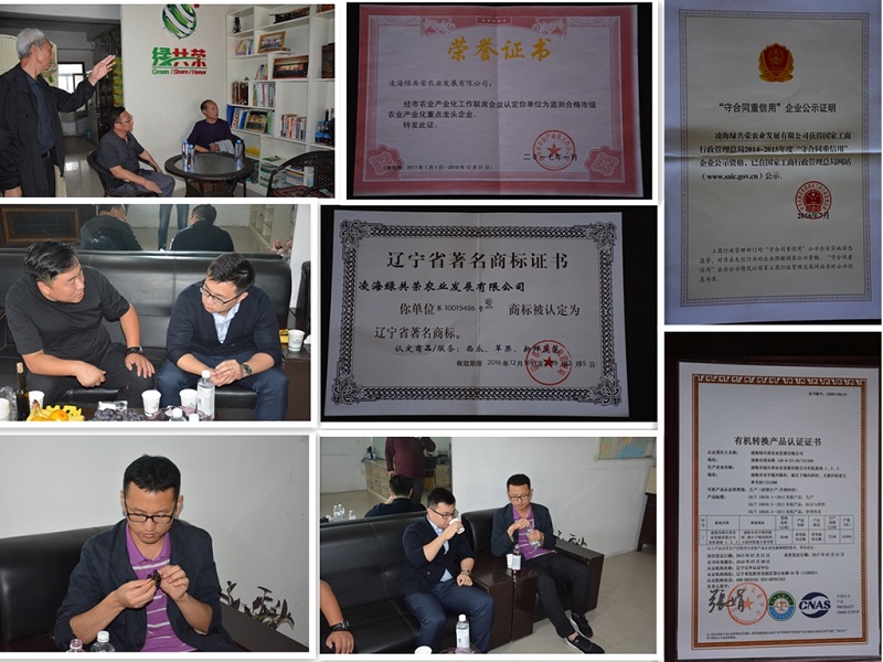 亚星治理平台(中国游)官方网站