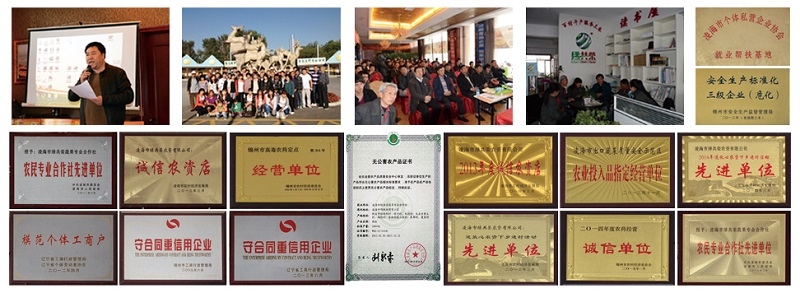 亚星治理平台(中国游)官方网站