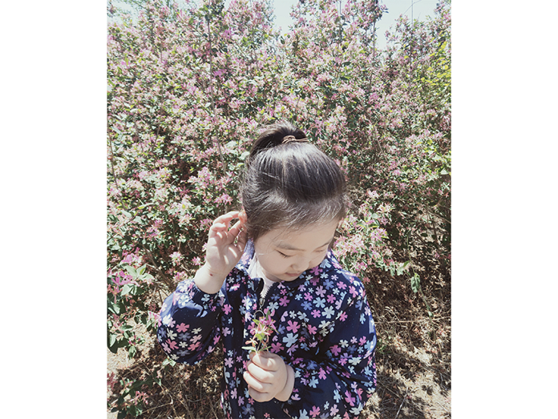 亚星治理平台(中国游)官方网站