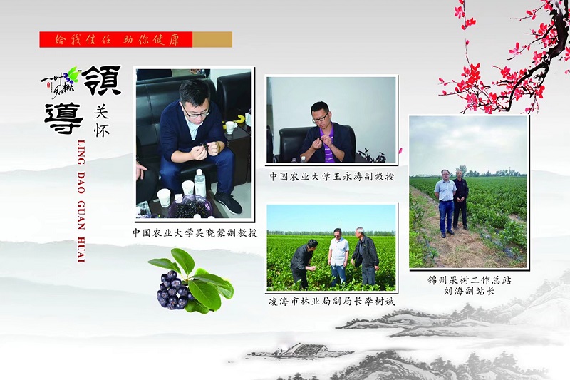 亚星治理平台(中国游)官方网站