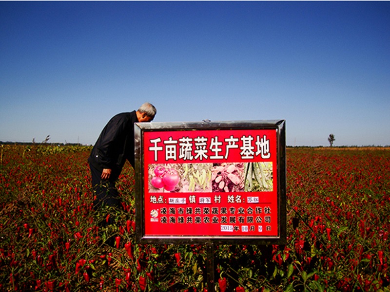 亚星治理平台(中国游)官方网站