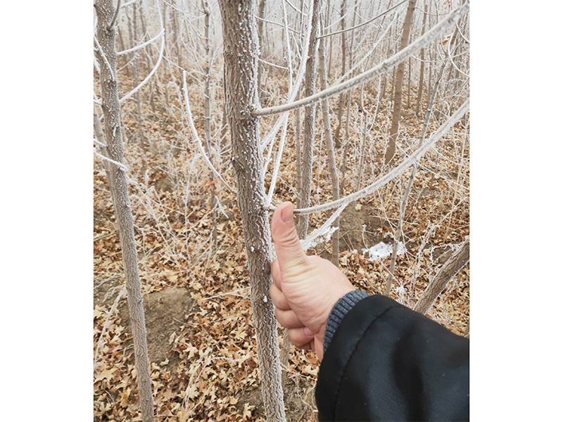 亚星治理平台(中国游)官方网站