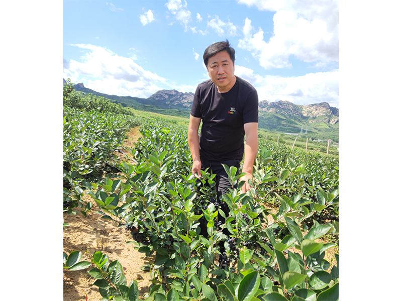 亚星治理平台(中国游)官方网站