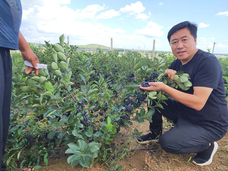 亚星治理平台(中国游)官方网站