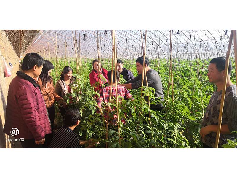 亚星治理平台(中国游)官方网站