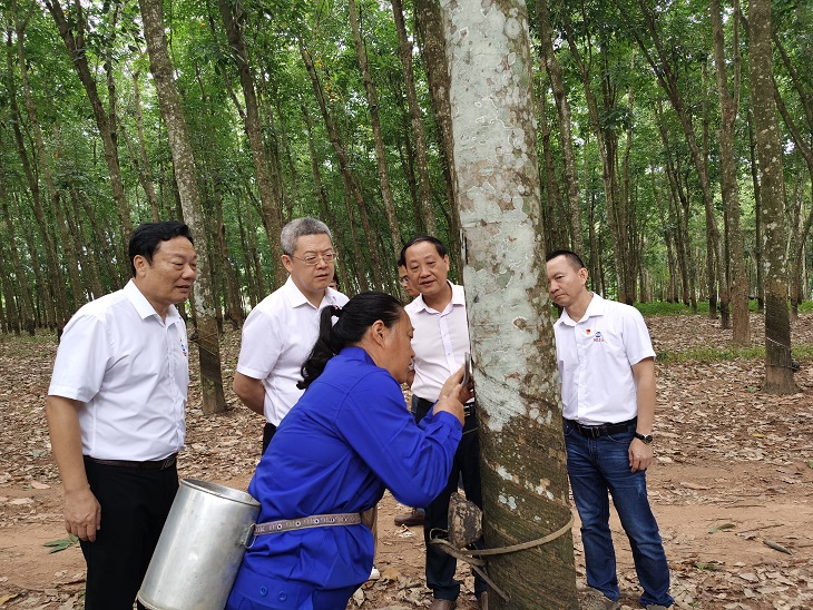 首页- 腾博官网诚信为本,专业服务!
