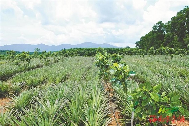 首页- 腾博官网诚信为本,专业服务!