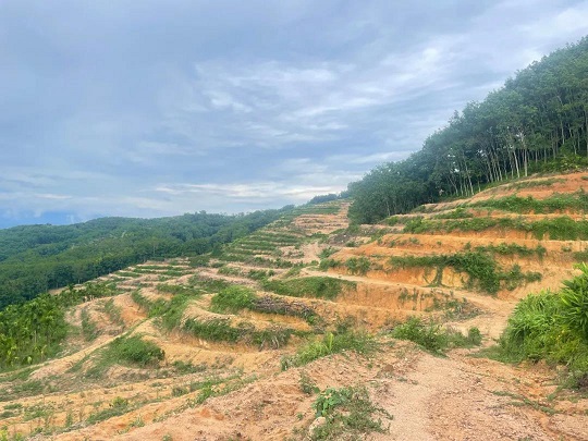 首页- 腾博官网诚信为本,专业服务!