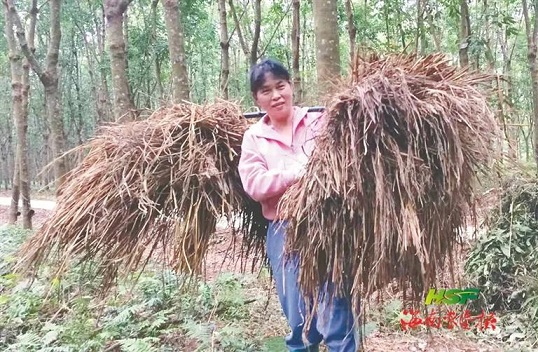 首页- 腾博官网诚信为本,专业服务!