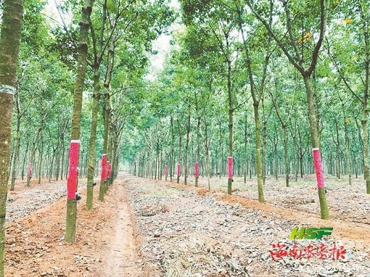 首页- 腾博官网诚信为本,专业服务!