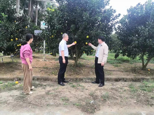 首页- 腾博官网诚信为本,专业服务!