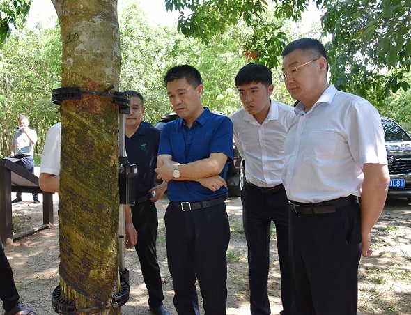 首页- 腾博官网诚信为本,专业服务!