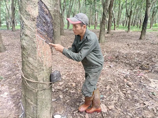 首页- 腾博官网诚信为本,专业服务!