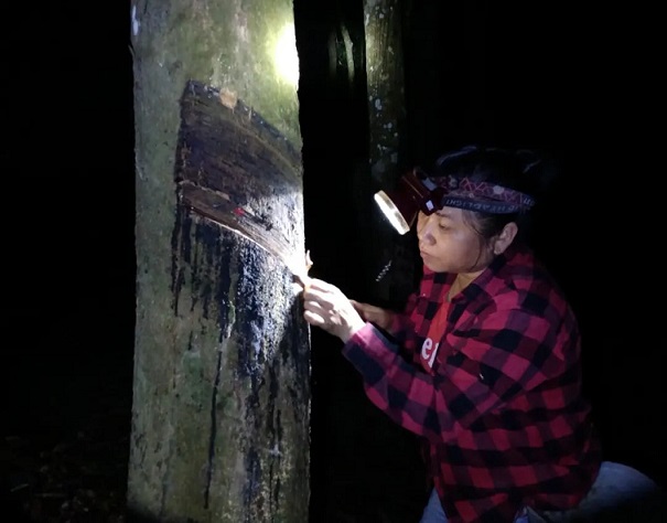 首页- 腾博官网诚信为本,专业服务!