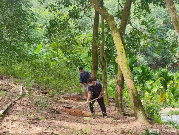 首页- 腾博官网诚信为本,专业服务!