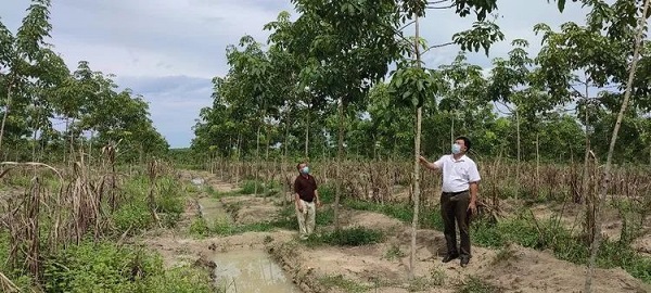 首页- 腾博官网诚信为本,专业服务!