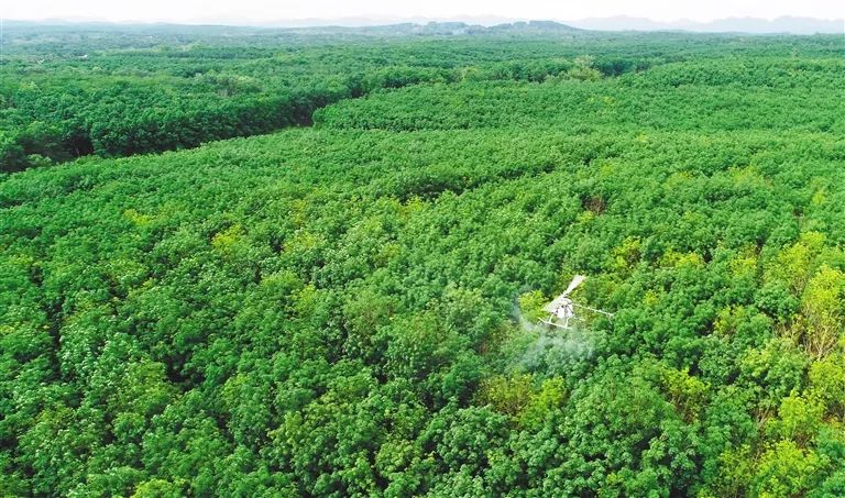 首页- 腾博官网诚信为本,专业服务!