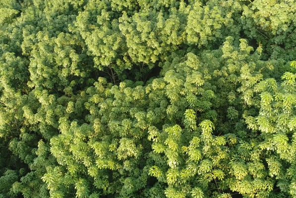 首页- 腾博官网诚信为本,专业服务!