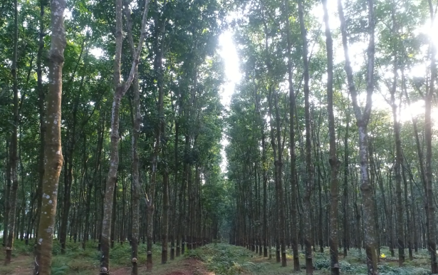 首页- 腾博官网诚信为本,专业服务!