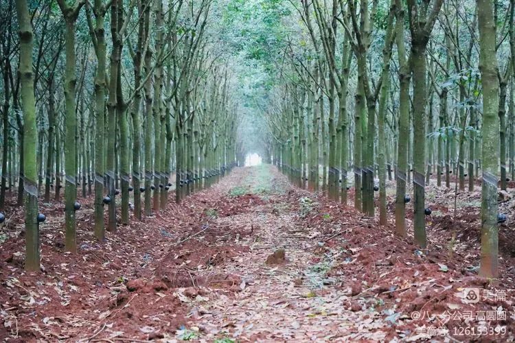 首页- 腾博官网诚信为本,专业服务!