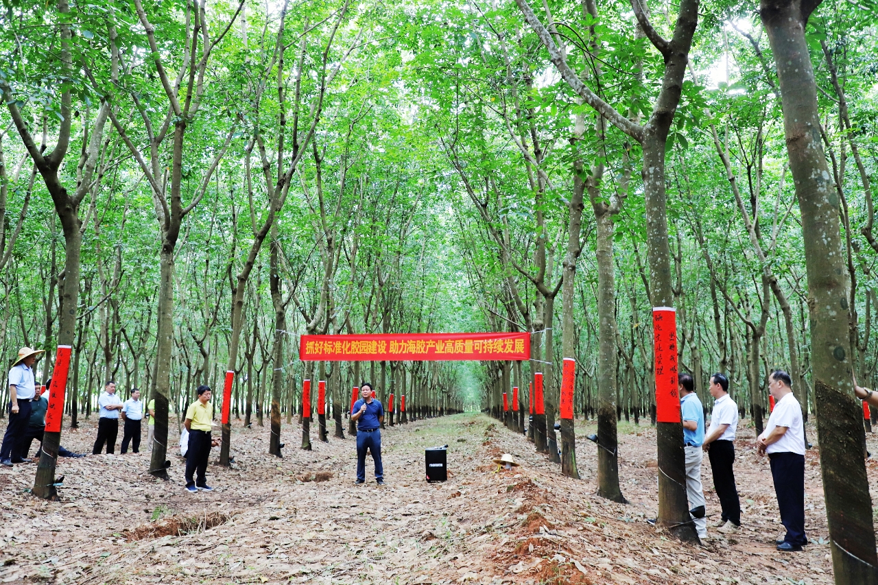 首页- 腾博官网诚信为本,专业服务!