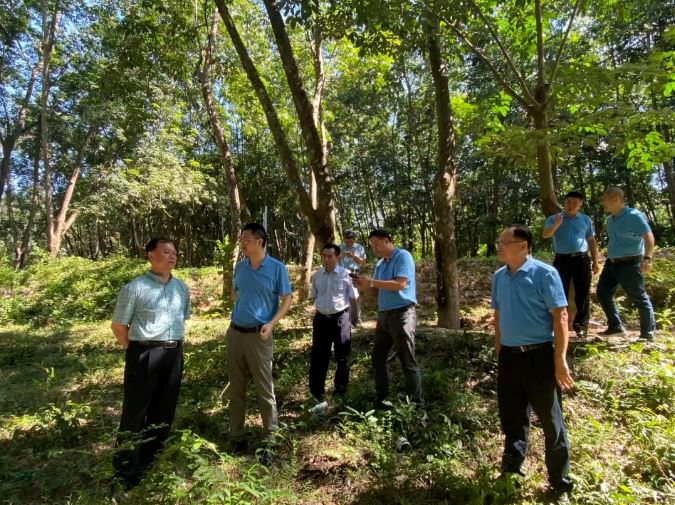 首页- 腾博官网诚信为本,专业服务!